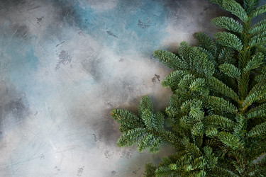 Similar image 14873696