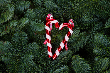 Similar image 14873801