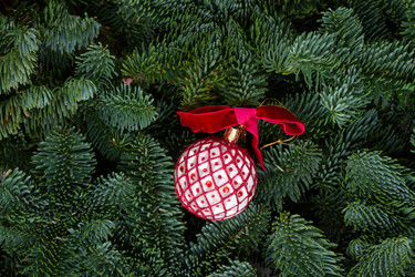 Similar image 14873838