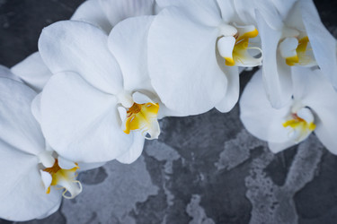 Similar image 14873615