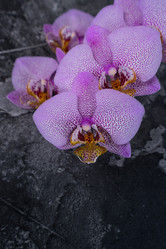 Similar image 14873619