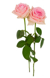 Similar image 14873754