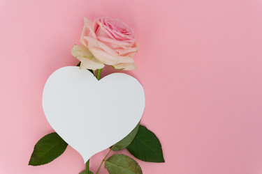 Similar image 14873761