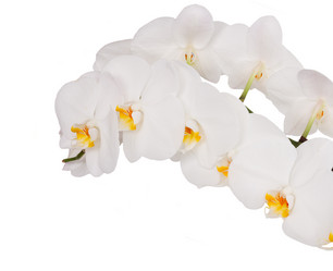 Similar image 14873805