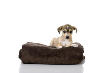 Similar image 13921067