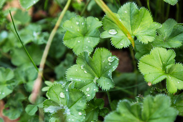 Similar image 13324699