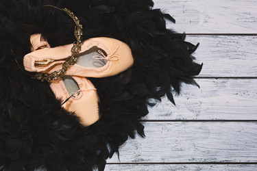 Similar image 13324704