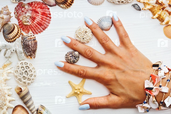 Женская рука с ракушками и морскими звездами