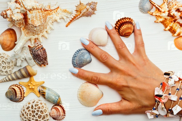 Женская рука с ракушками и морскими звездами