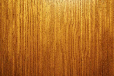 Similar image 13324691