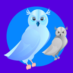 Similar image 13326571