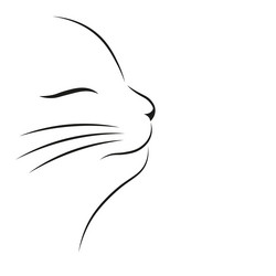 Similar image 14668305