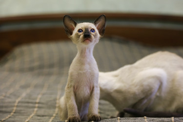 Similar image 13972722