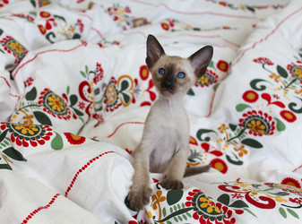 Similar image 14241415