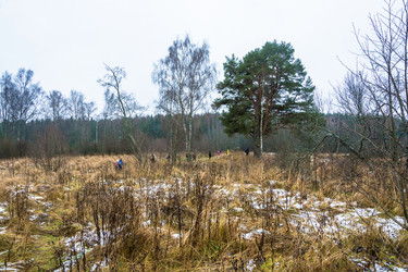 Similar image 13621157