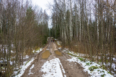 Similar image 13621159