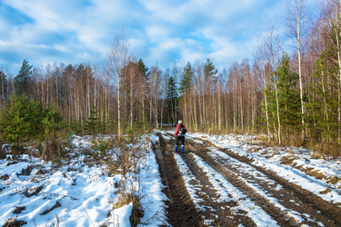 Similar image 13621161