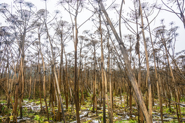 Similar image 13621190