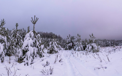 Similar image 13621193