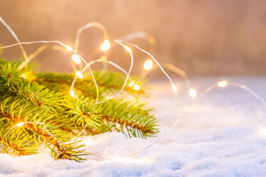 Similar image 13325600