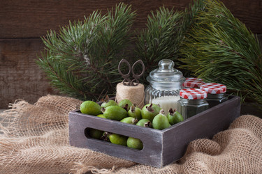 Similar image 13325603