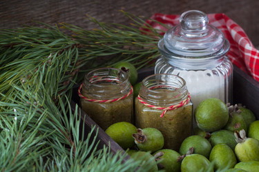 Similar image 13325639