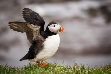 Similar image 14867676