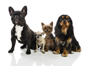 Similar image 14867741