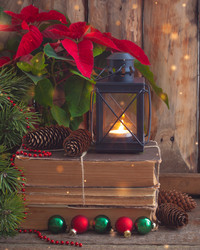 Similar image 13326642