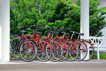 Similar image 13323818