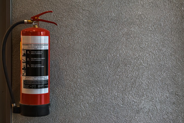 Similar image 13323846