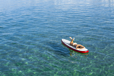 Similar image 14867666