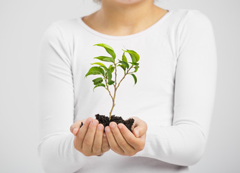 Similar image 13626042