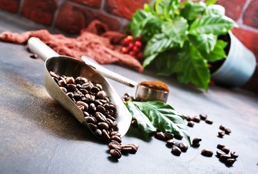 Similar image 13324435