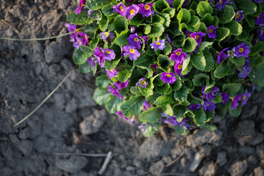 Similar image 14241451