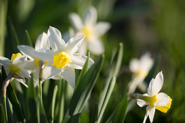 Similar image 14241517