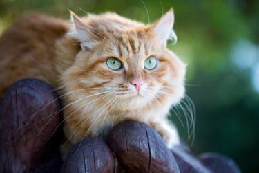 Similar image 14241561