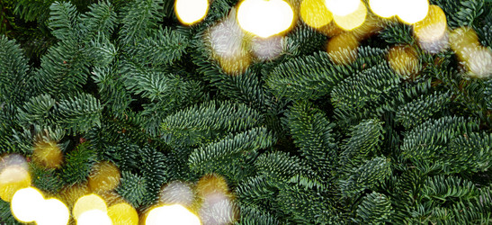 Similar image 14873999