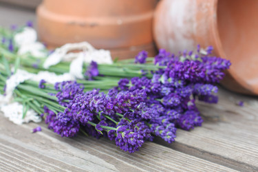 Similar image 13326651