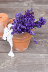 Similar image 13326652