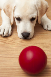 Similar image 14868536