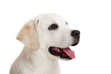 Similar image 14868664