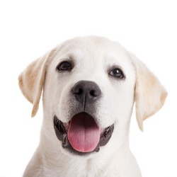 Similar image 14872700