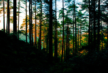 Similar image 14868721