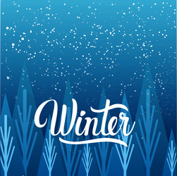 Similar image 14506051