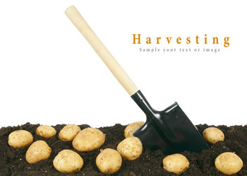 Similar image 14871299