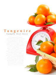 Similar image 14871333