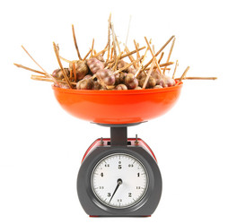 Similar image 14871433