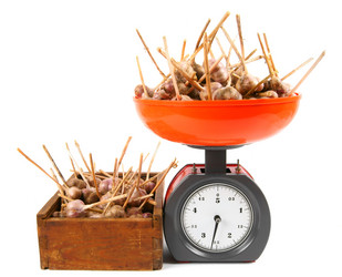 Similar image 14872299