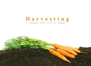 Similar image 14872345